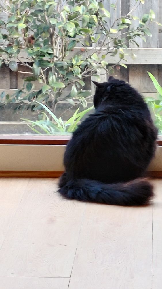 black void by a windowsill