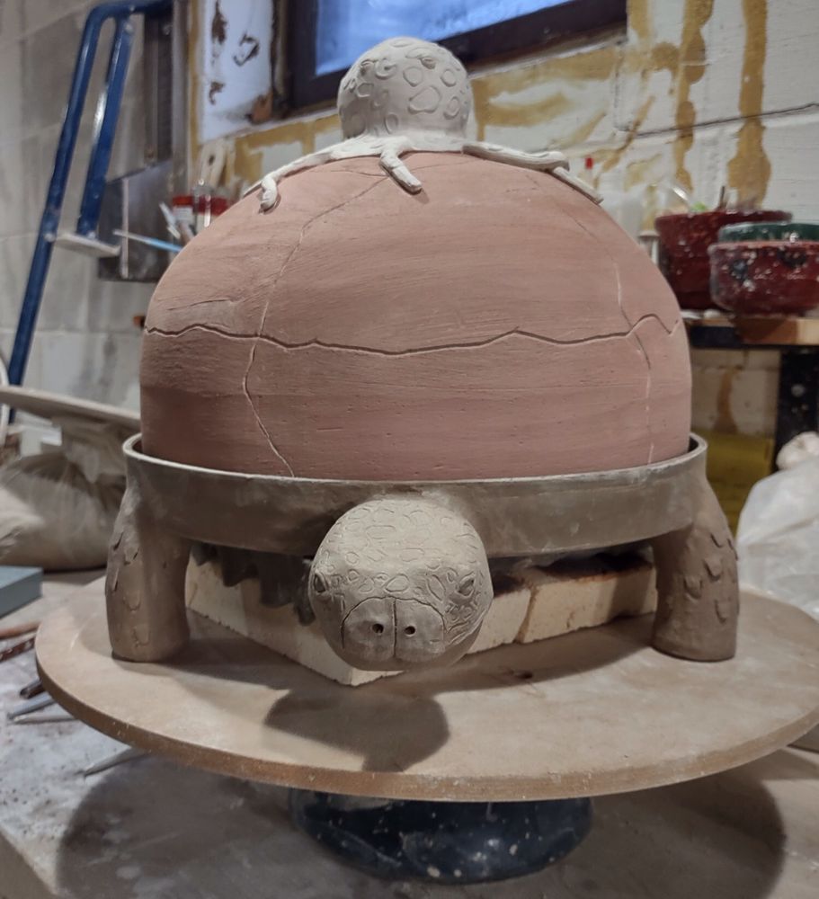 Front view of tortoise sculpted face