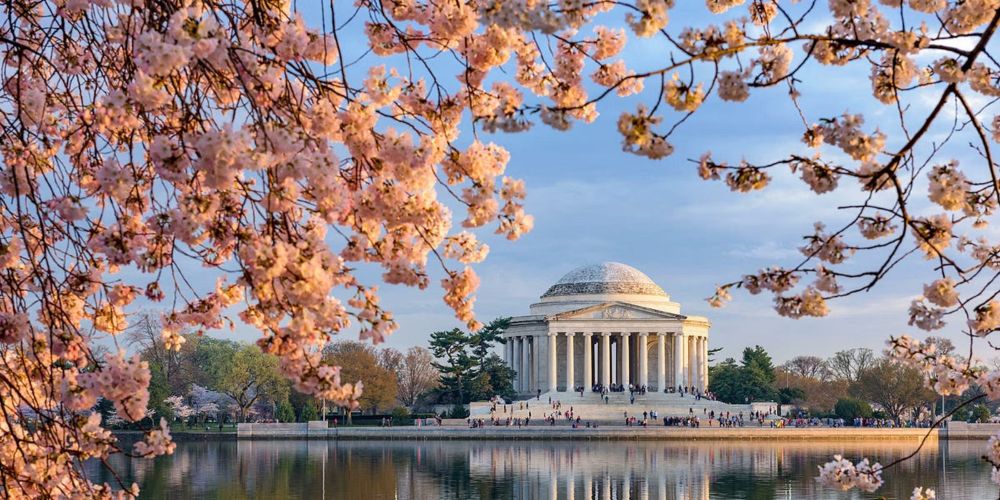 My early morning runs in Washington, DC always include a swing around the tidal basin for a quick stop at the Thomas Jefferson Memorial. It’s one of my favorite memorials in our nation’s capital.