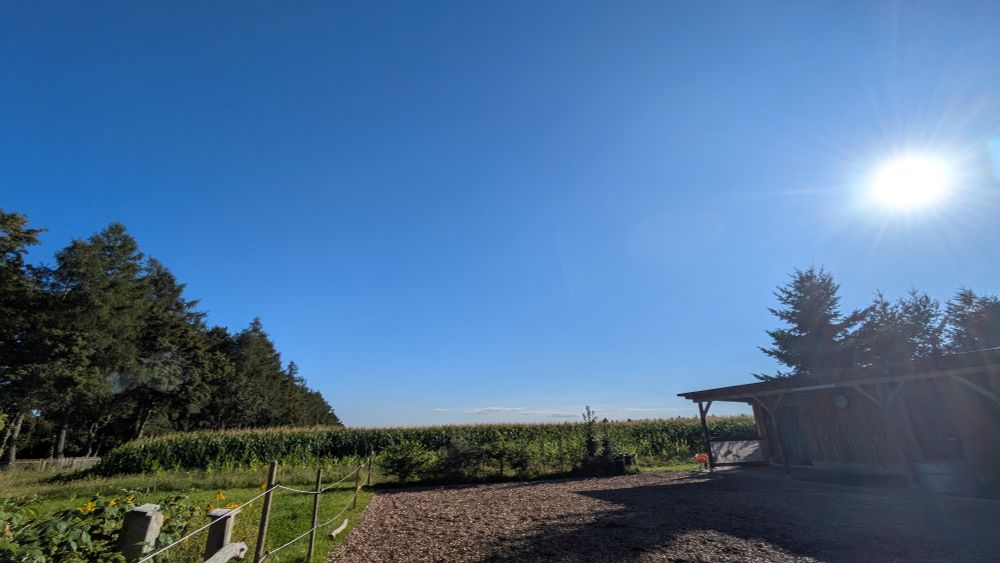Nice clear blue skies and the setting sun, some trees and a horse stable