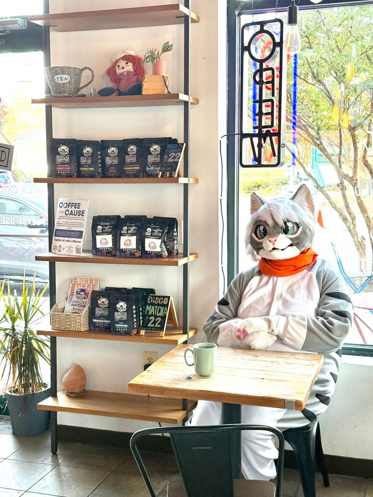 A very large tabby cat sitting at a table waiting for their iced coffee