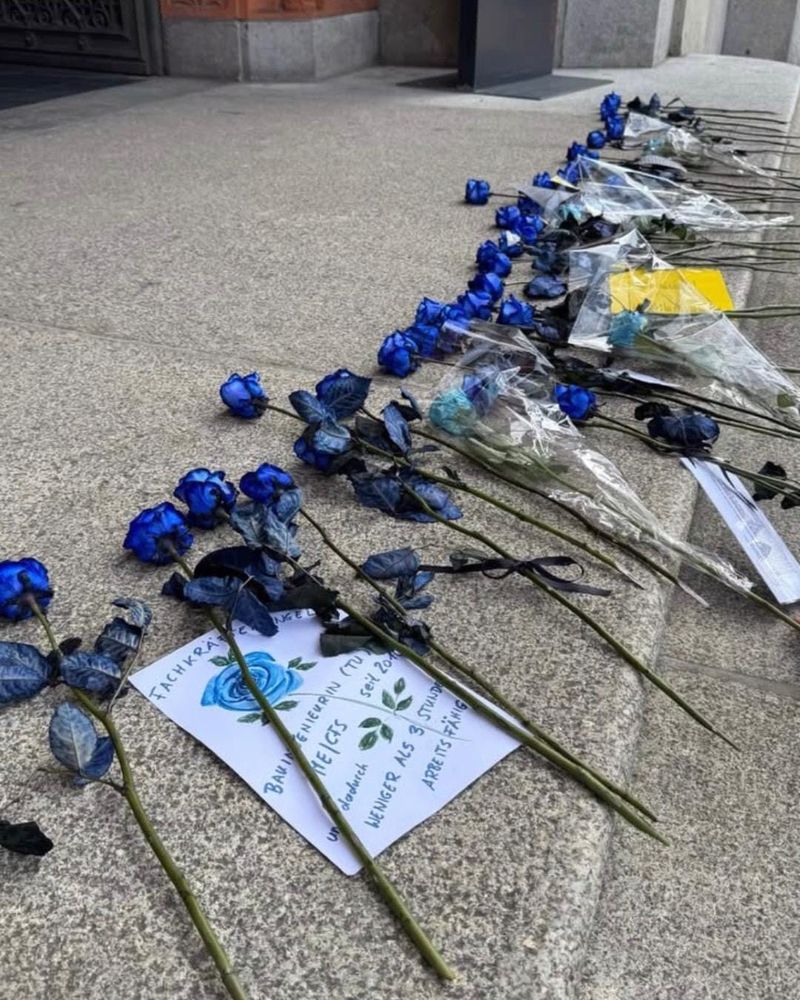 Auf dem Foto sieht man ein Gebäude mit mehreren Stufen. Auf der obersten Stufe liegen viele blaue Rosen. Zwischen zwei blauen Rosen liegt ein Zettel mit der Aufschrift "Fachkräftemangel - Bauingeneurin (TU), ME/CFS seit 2010 und dadurch weniger als drei Stunden arbeitsfähig". Auf diesem Zettel ist zudem eine blaue Rose aufgemalt.