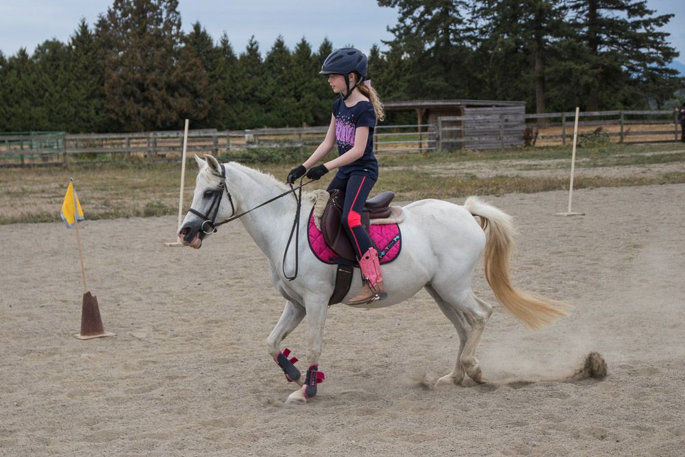 A girl on a trotting grey pony