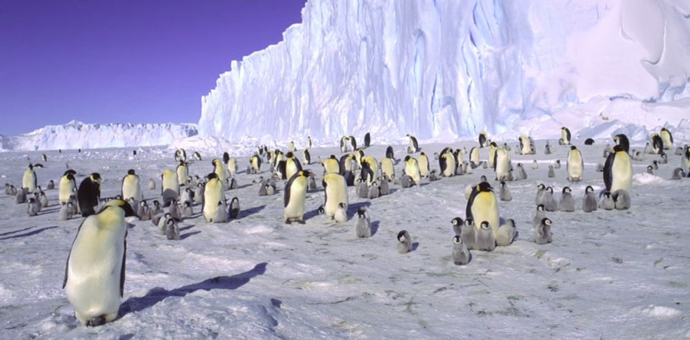 The vast ice of Antarctica has long seemed impregnable. But sudden changes are arriving – from shrinking sea ice to melting ice sheets and slowing ocean currents.