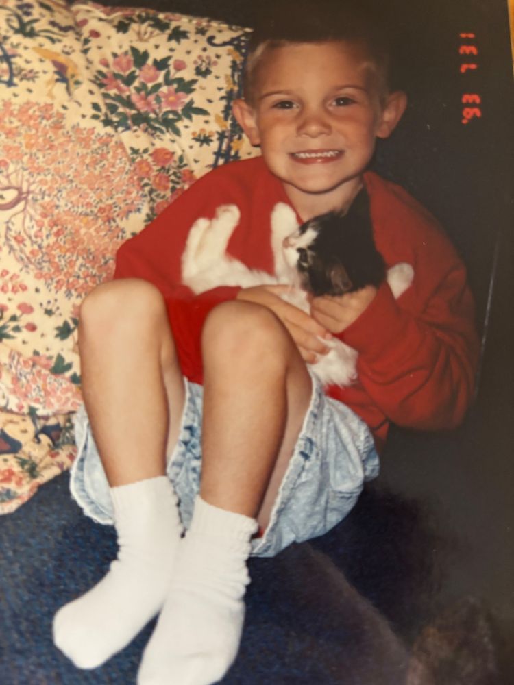 A four year old boy holds a kitten