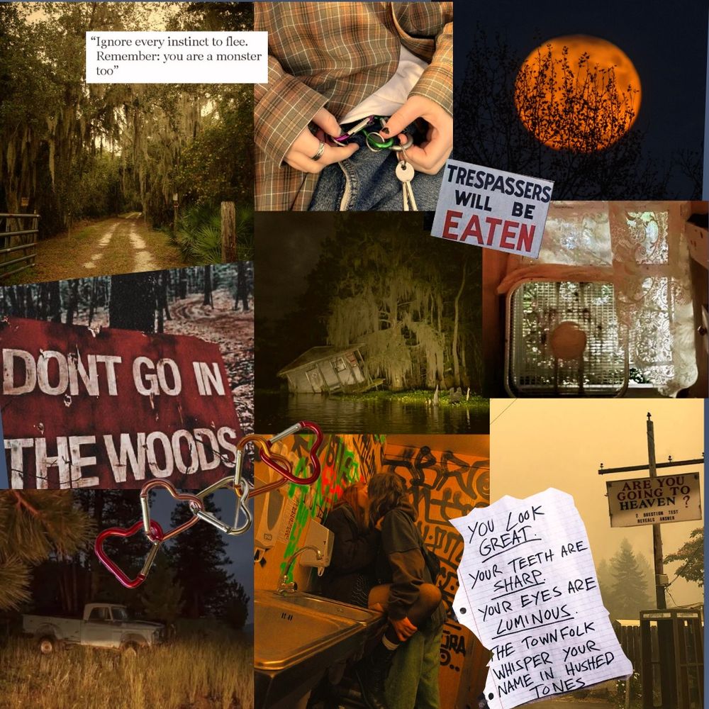 Moodboard from left to right: swampy road, a person in a flannel, an orange moon, a sign that reads: don’t go into the woods, a house sinking into a river, an ac unit in a window, a blue truck in a field at night, two girls kissing, a religious sign reads: are you going to heaven?
