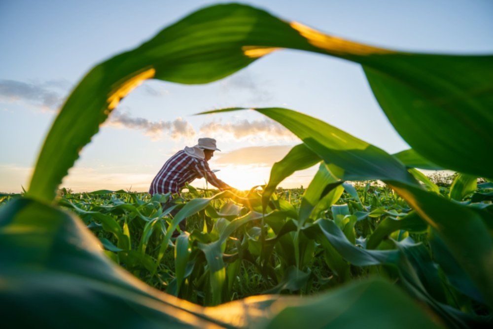 Funding for a Better Farm Bill Has Been Sparse and Inconsistent. Is That Changing? | Inside Philanthropy