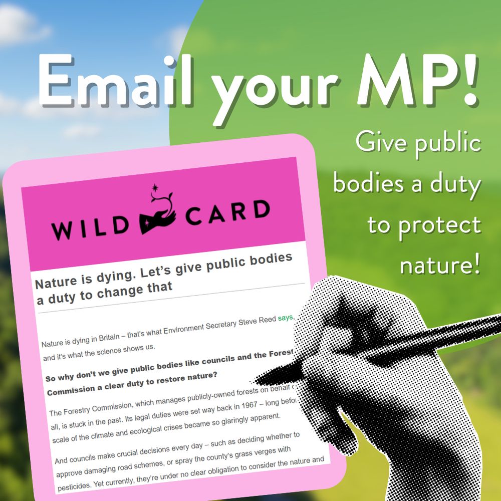 Collage Image of a mock up of our email text on a pink background with a black and white photograph of a hand writing it.  Text above reads 'Email your MP!' text to the side reads give public bodies a duty to protect nature!