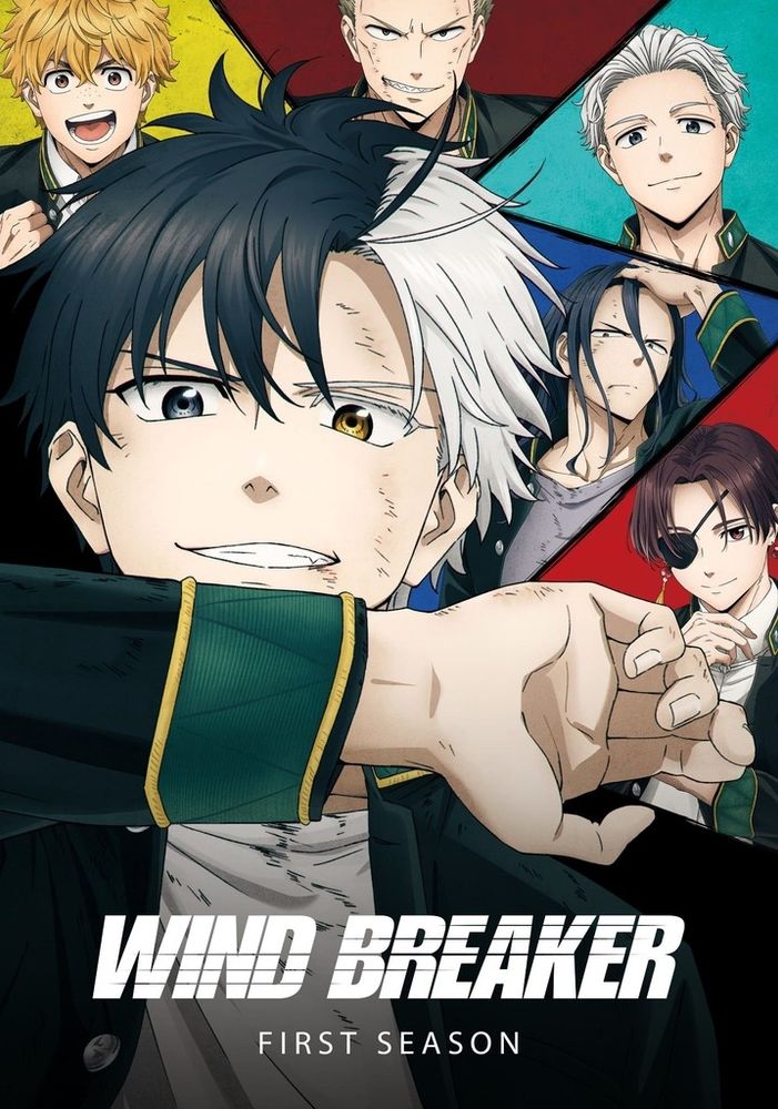 Poster of the 1st season of "Windbreaker". Watch it on Crunchyroll. 

Picture description: the main character of the anime has half black/half white hair. One of his eyes is black and the other one is brown. He is smiling, his forearm held in front of his neck. 

Behind him, other characters of the anime are posing in colour blocks background. Everybody is wearing their black, green and yellow school uniform. 