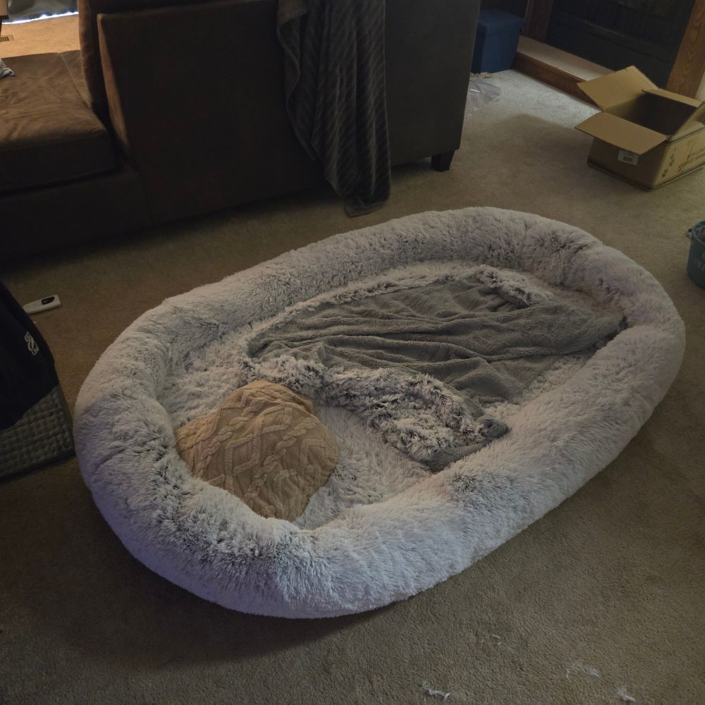 a freshly unpacked dog bed!! for cath?? me!!? im so happy about it awawawawawa BARKBARKBARKBARK WOOF WOOF WOOF 