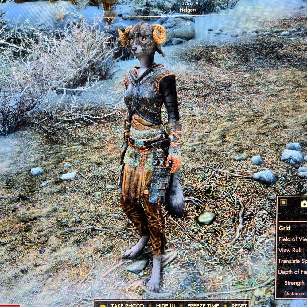 image of a doggie character that was modded into Skyrim!!! it's going to take 2000 hours to finish all this but it's so good omg woof woof woof

 