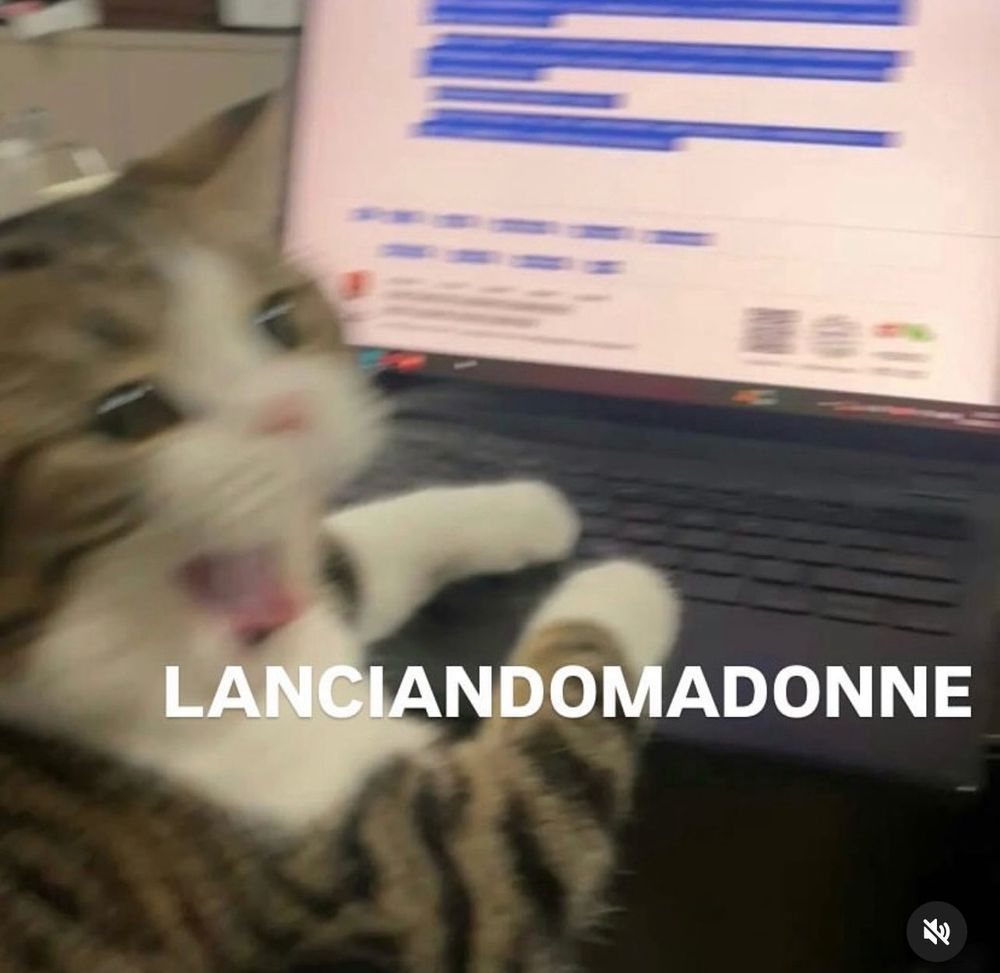 Gatto che lancia madonne.