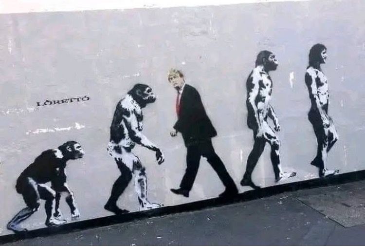 Evolution of Man with traitor felon trump walking the wrong way