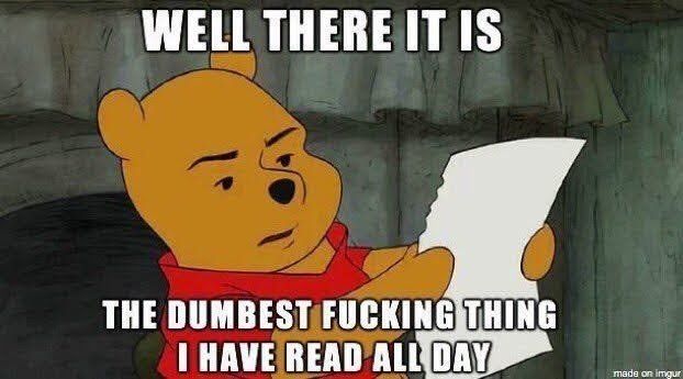 Picture of Winnie The Pooh (an orange bear in a read shirt) looking at a piece of paper. He looks a bit miffed and text reads "well there it is the dumbest fucking thing I have read all day"
