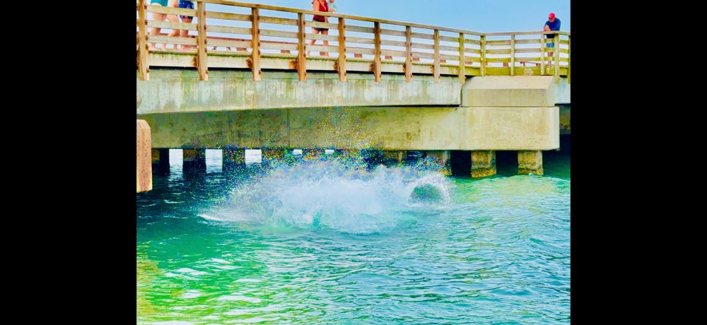A big colorful splash as jumpers break the waters below the bridge. 