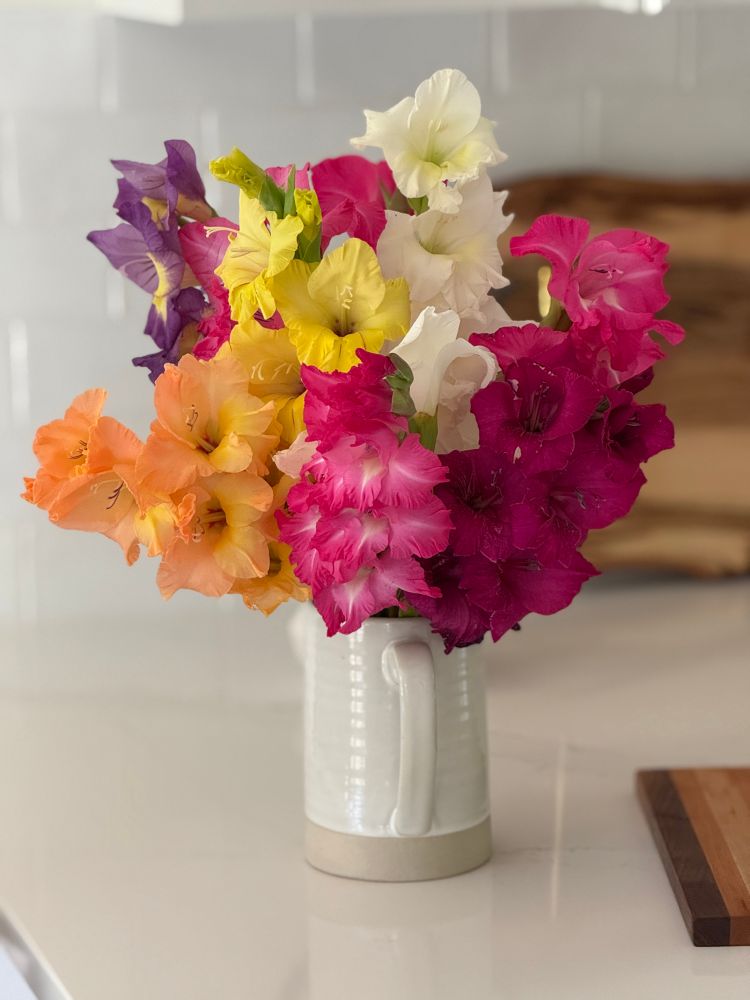 A colorful bouquet of gladiolus flowers in a white ceramic vase. 