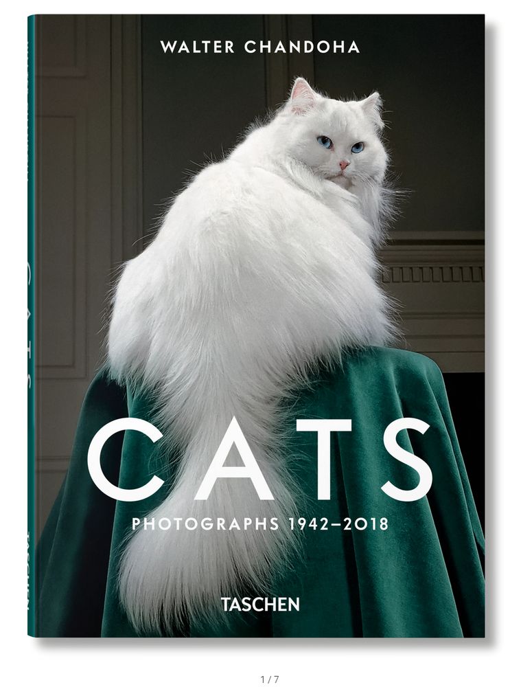 Photo of a book cover. Title: CATS Photographs 1942-2018 Author: Walter Chandoha Cover has a photo of a long-haired white show cat sitting on a table covered in green velvet, its head turned back to stare at you with pale blue eyes. TASCHEN logo at bottom.