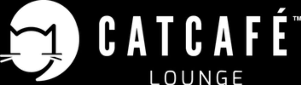 Visit CatCafe Lounge