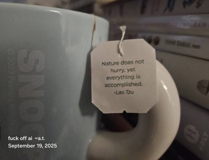 Close up photo of the thick handle of  plump mug that is pale blue with a white handle. There are white letters on the mug spelling "SNOOPY". A string for a tea bag has been wrapped around the mug handle and a little paper tag hangs off it with the following words: "Nature does not hurry, yet everything is accomplished. -Lao Tzu" In the backtround there are a pile of books with the spines showing but too blurry to read. 