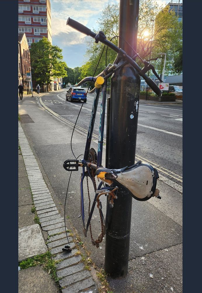 Tall close photo of a bike that was chained to a pole, handles hanging at top and white seat below. Its tires are missing and it seems to have been abandoned - possibly after a tire theft - because it seems dirty and weather-beaten. There is city street just beyond and the sun is setting behind buildings in the distance. 