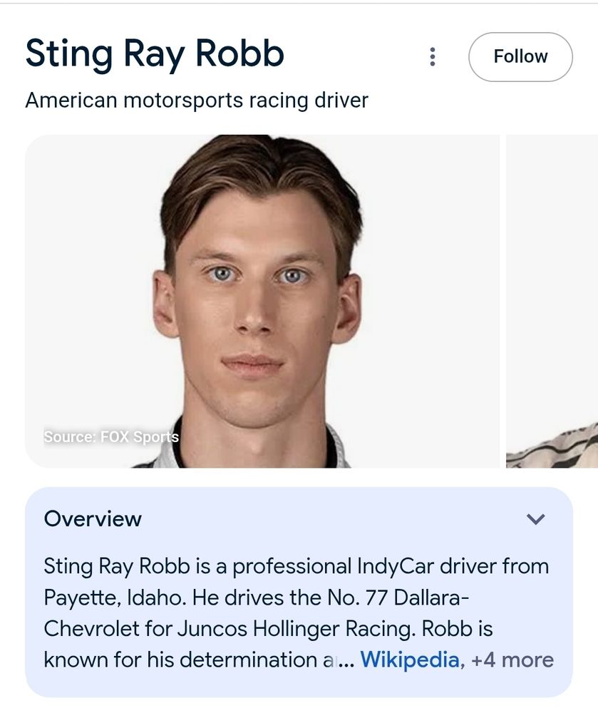 Photo of Sting Ray Robb