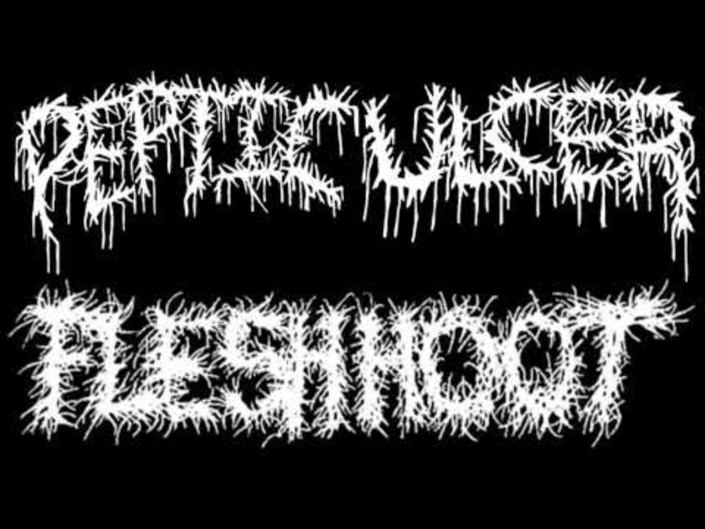 Fleshhoot/Peptic Ulcer - Full Split 2022 (Mincegore/Grindgore)
