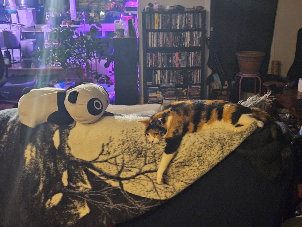 My cat splayed out and comfy on top of a couch next to one of those melty panda plushies.
