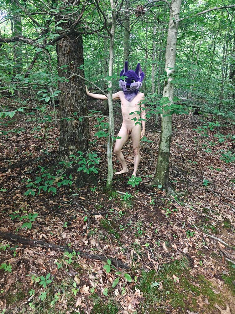 Niqnaq standing amongst some trees in the forest, au naturel