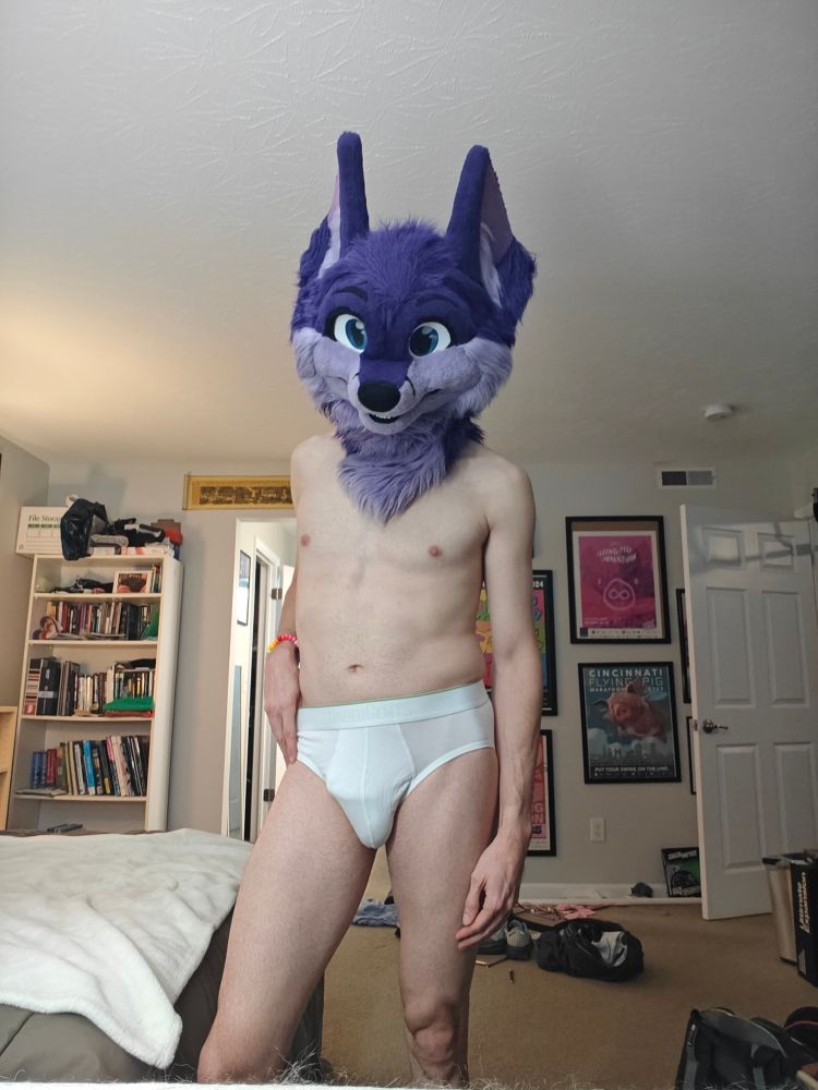 Modeling the Undergents briefs