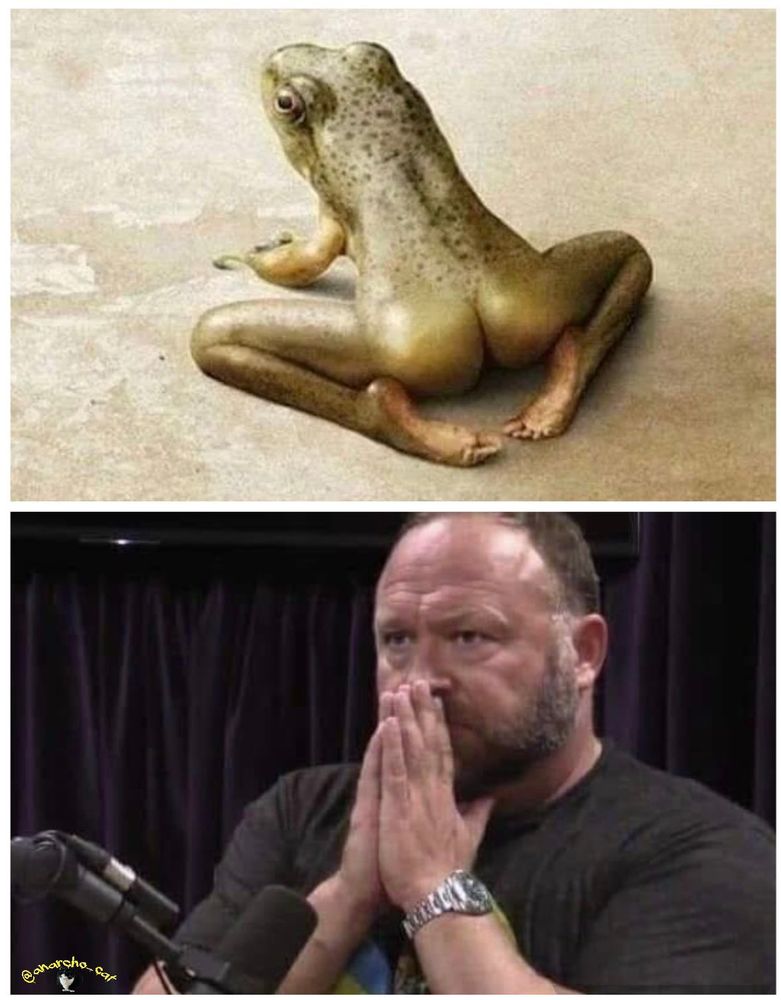 Alex Jones checking out a frog.