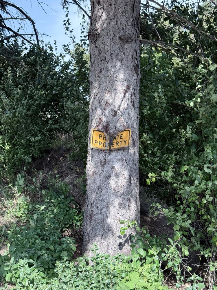 A picture of a tree where a sign that says “PRIVATE PROPERTY” on it is being held up by the tree completely, with its original post long gone.