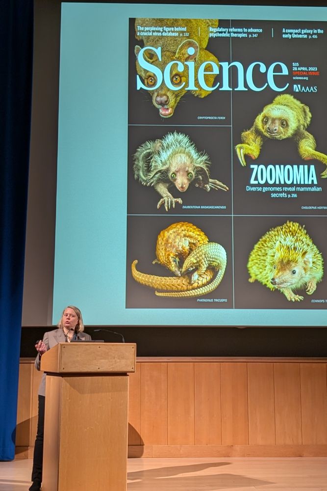 Professor Elinor Karlsson discussing her work on the Zoomomia project, with a large projection screen behind her displaying a cover of Science magazine.