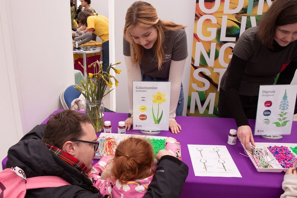 Adult and child crouching down at the exhibition table, with an EI scientist, looking at a tray of string and colourful beads to make a keyring.