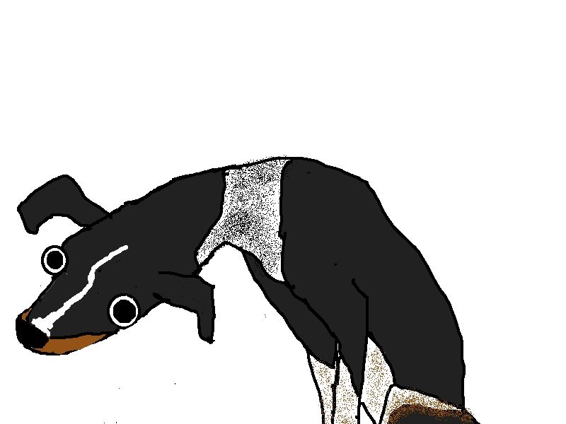 https://hyperboleandahalf.blogspot.com/2010/11/dogs-dont-understand-basic-concepts.html?m=1

Dog is confused