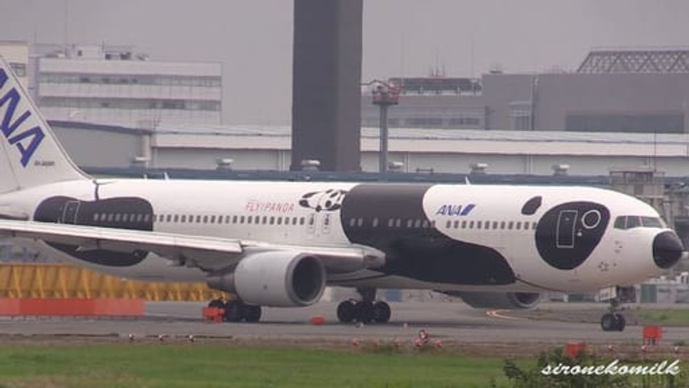 FLY!パンダ ANA Boeing 767-300/ER Panda Take off from Tokyo Narita International Airport 成田国際空港 旅客機離陸 - YouTube