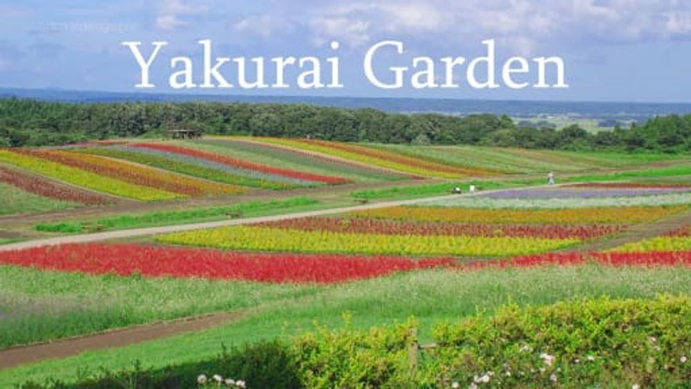 Rainbow Flower Field in Yakurai Garden | Kami, Miyagi Japan