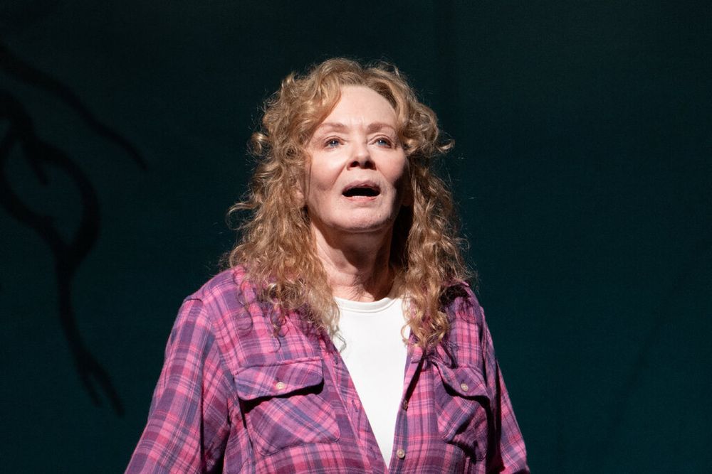 Review: Jean Smart, Gritty and Poetic in ‘Call Me Izzy’