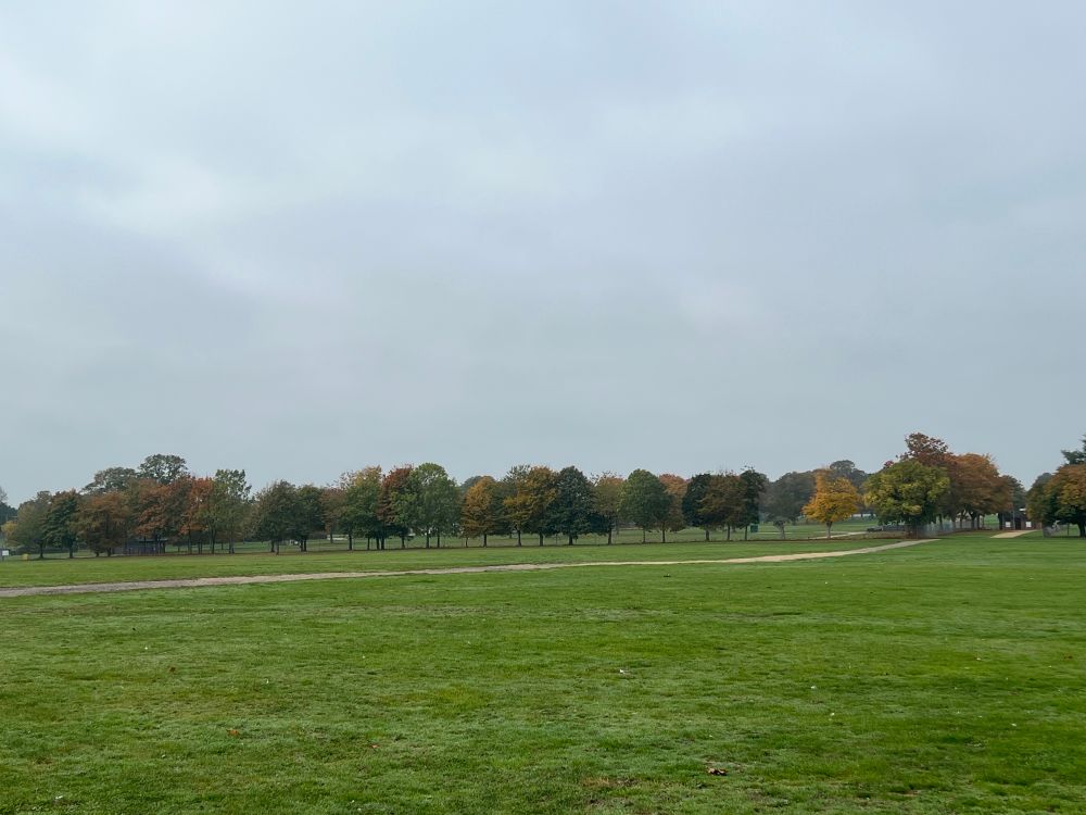 A view across an expanse if green grass towards a row of trees starting to show autumn colours. They sky is (sadly) grey