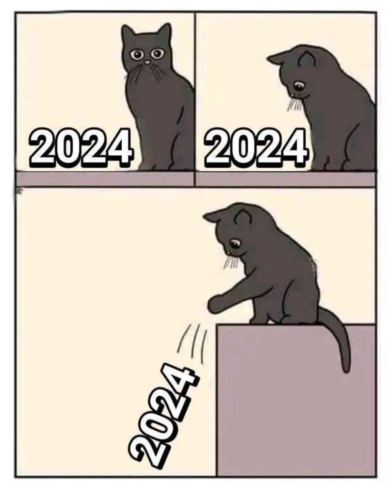 a cat sits beside the numbers ‘2024.’ In the next panel, it looks intently at the numbers. In the final panel, the cat knocks down the ‘2024,’ signifying new years and in typical playful cat fashion!