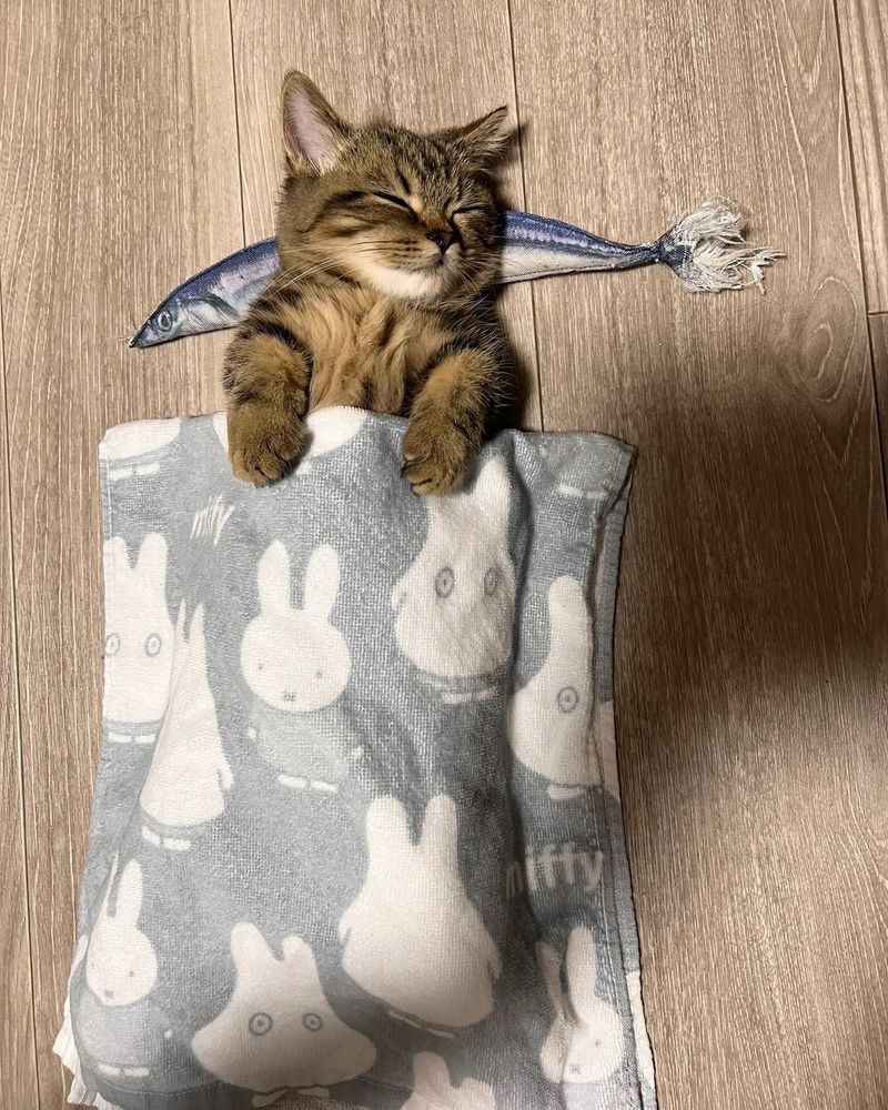 A cozy tabby kitten is lying on its back, tucked under a soft gray blanket decorated with cute bunny designs. Its eyes are closed in peaceful slumber, and a plush fish toy rests just above its head like a whimsical dream. The wooden floor adds a warm, homely backdrop to this adorable and serene scene