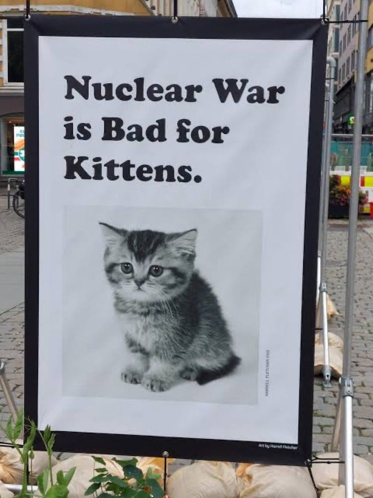 A sign that reads “Nuclear War is Bad for Kittens.” An image of a black and white kitten is seen right below the text. 