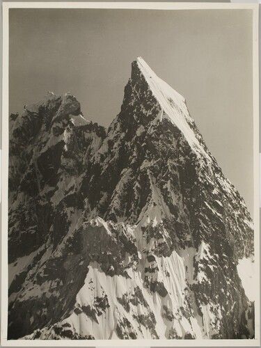 Harvard Art Museums/Fogg Museum, Transfer from the Carpenter Center for the Visual Arts