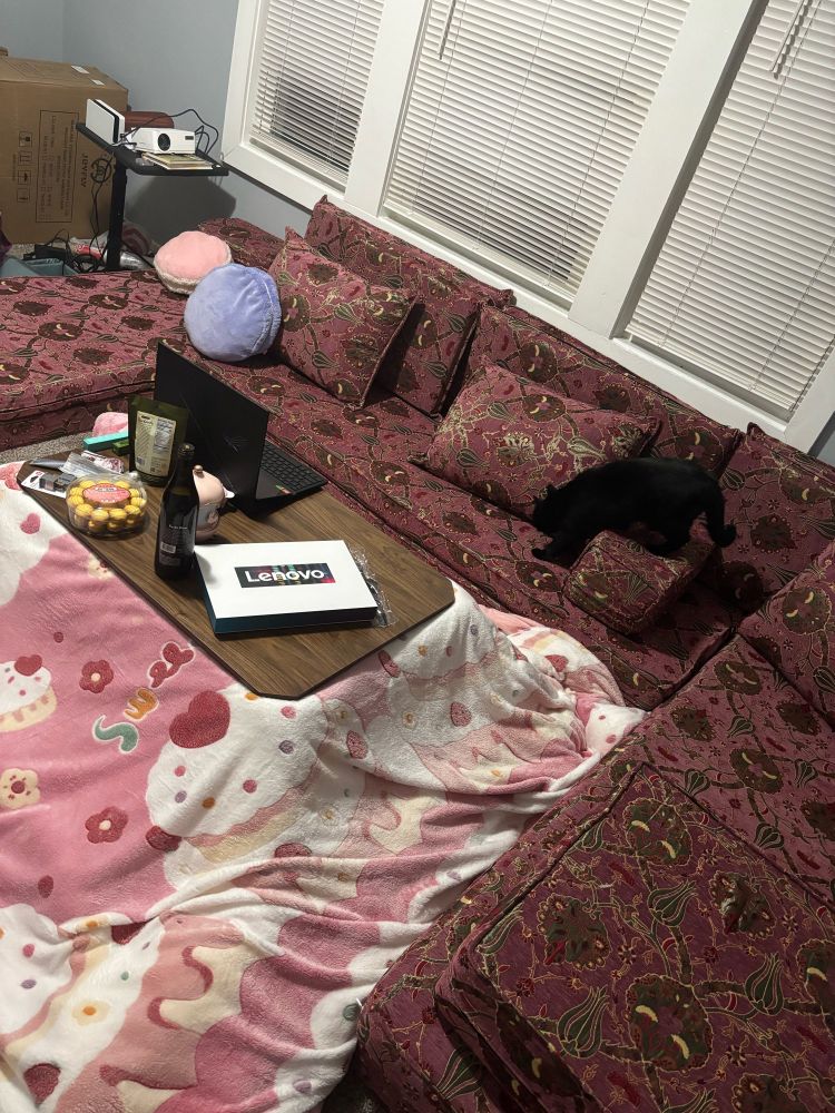majlis sofa set with a cat curiously climbing over it. There’s a laptop, plum wine, and a Lenovo box containing a bunch of moe stickers and pins on a kotatsu with a sweet kawaii comforter under the surface. there’s two macaron cushions in the back. also the center is lined with tatami mats but are not visible