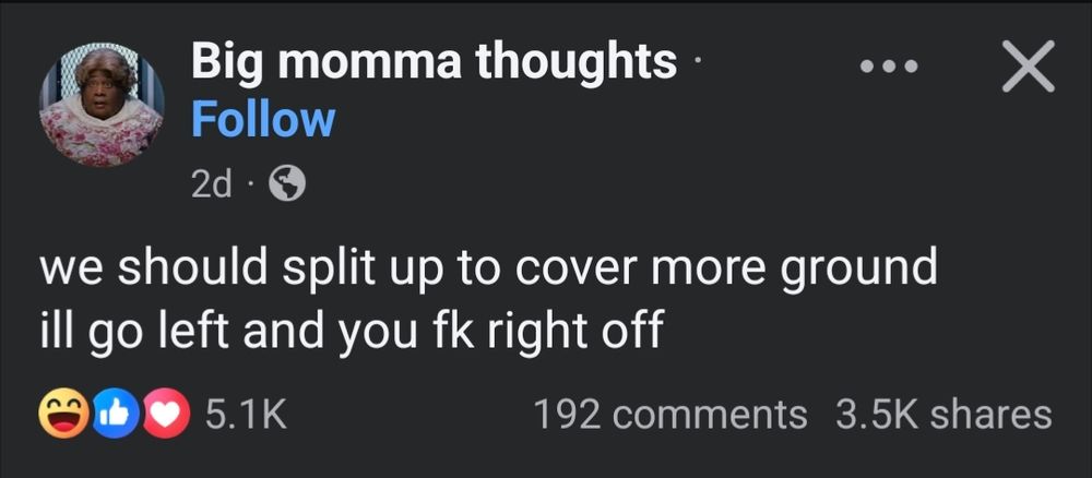 Screenshot of Facebook account big momma thoughts. Text reads: we should split up to cover more ground. I'll go left, and you do fuck right off. 