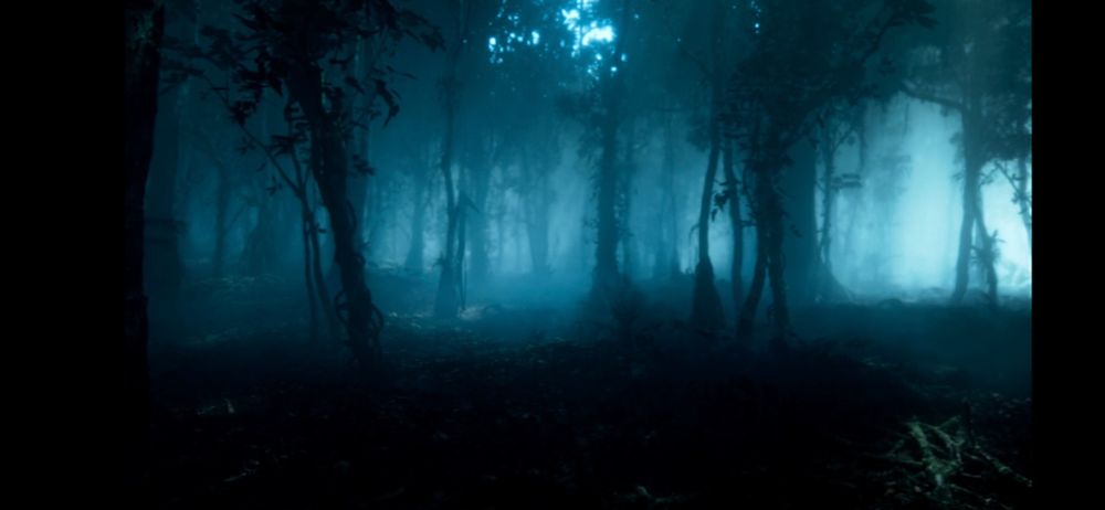 Spooky forest at night lit dimly with pale blue moonlight