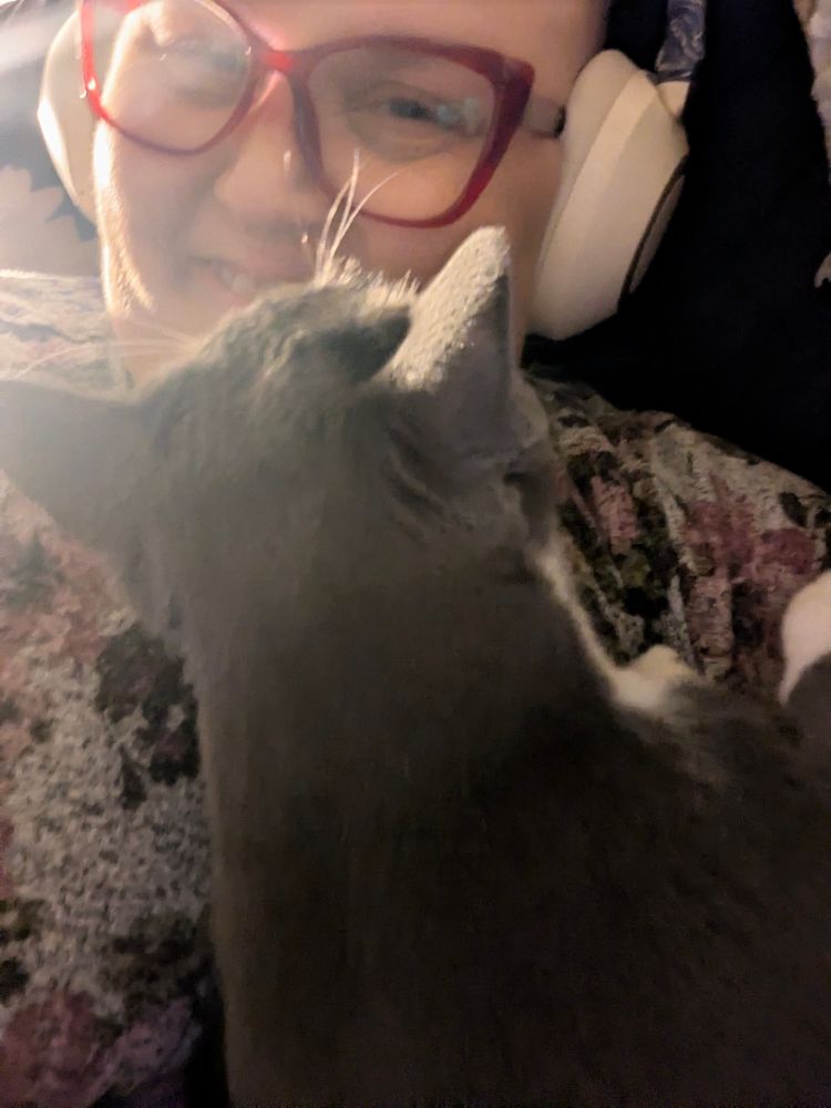 White woman wearing white headphones and red framed glasses with a gray cat in her face. She's smiling despite the lack of personal space. 