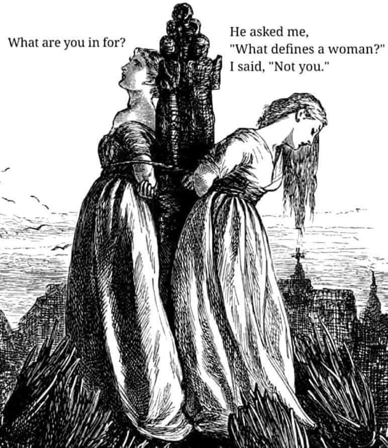Black and white sketch of two women about to be burned at the stake. One says, "What are you in for?" The other replies, "He asked me what defines me as a woman. I said not you." 