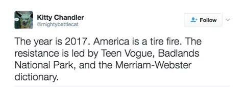 Screenshot from Twitter user Kitty Chandler, handle at mighty battle cat. Text reads the year is 2017. America is a tire fire. The resistance is led by Teen Vogue, Badlands National Park, and the Merriam Webster dictionary. 