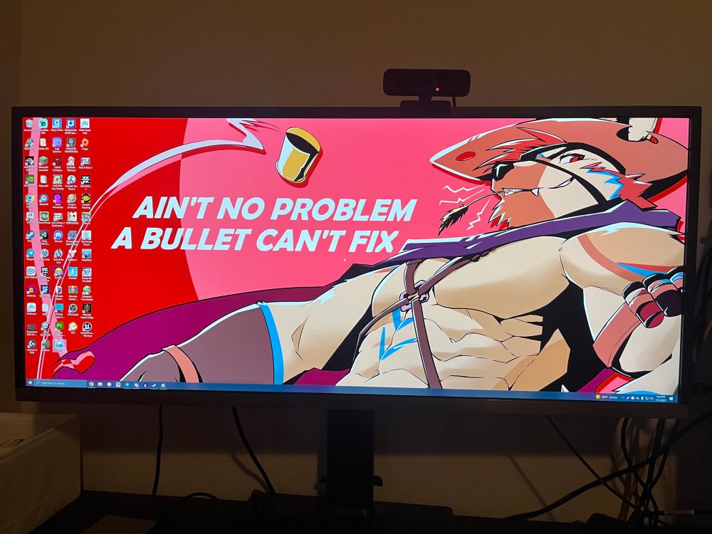 My monitor, displaying gift art of Mesa. 