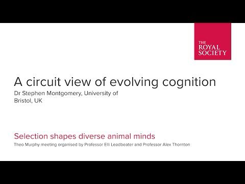 A circuit view of evolving cognition by Dr Stephen Montgomery